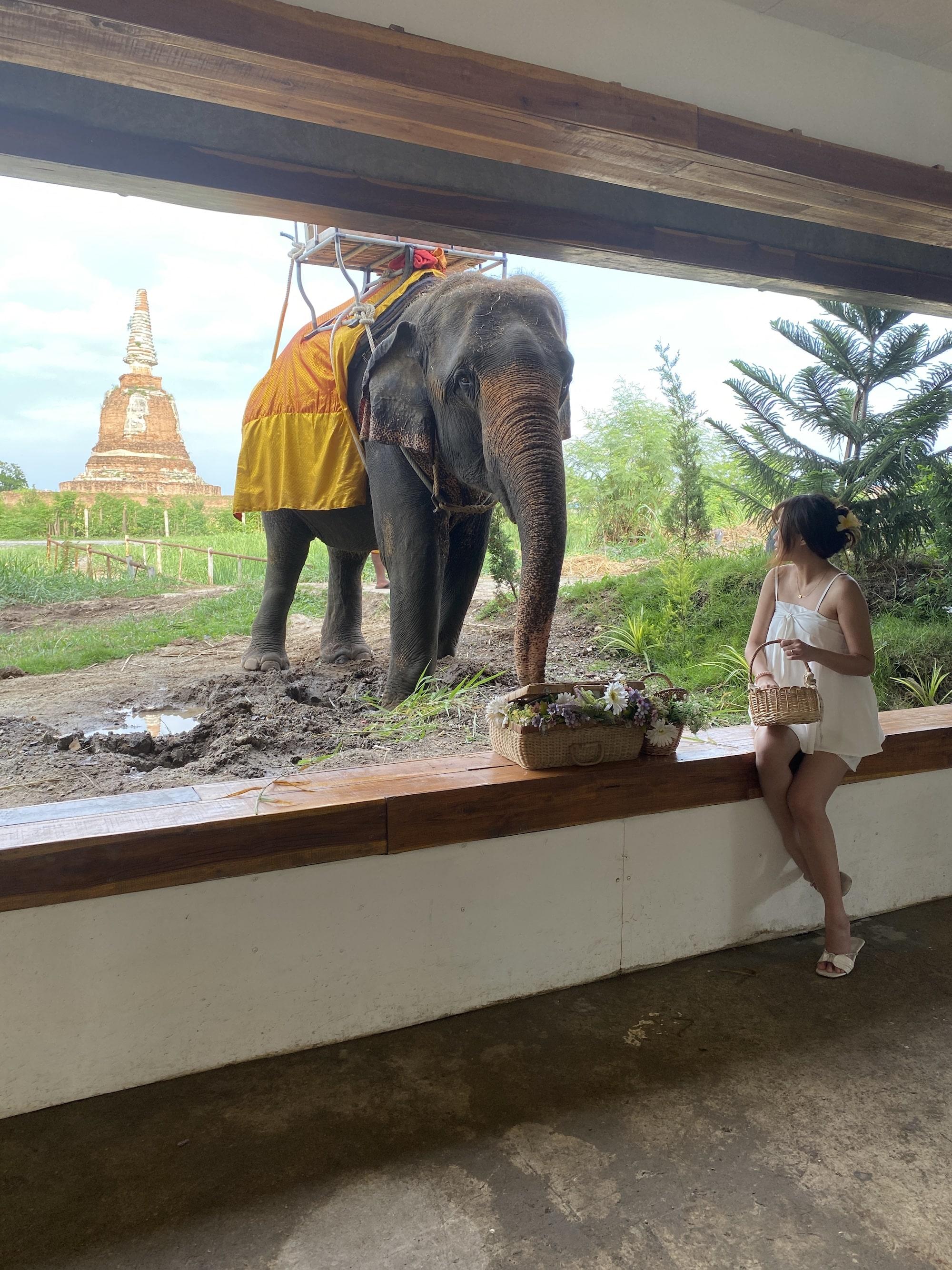 Exploring Thailand